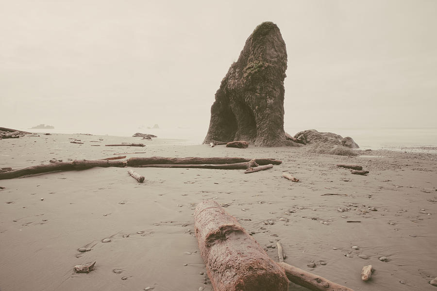 Ruby Beach No. 16 Photograph by Desmond Manny
