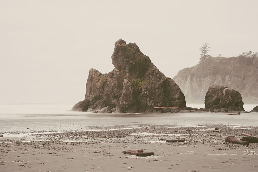 Ruby Beach No. 17 Photograph by Desmond Manny