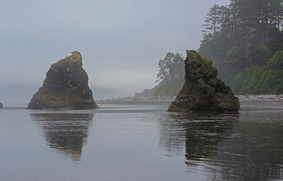 Ruby Beach Reflections Photograph by Tikvahs Hope