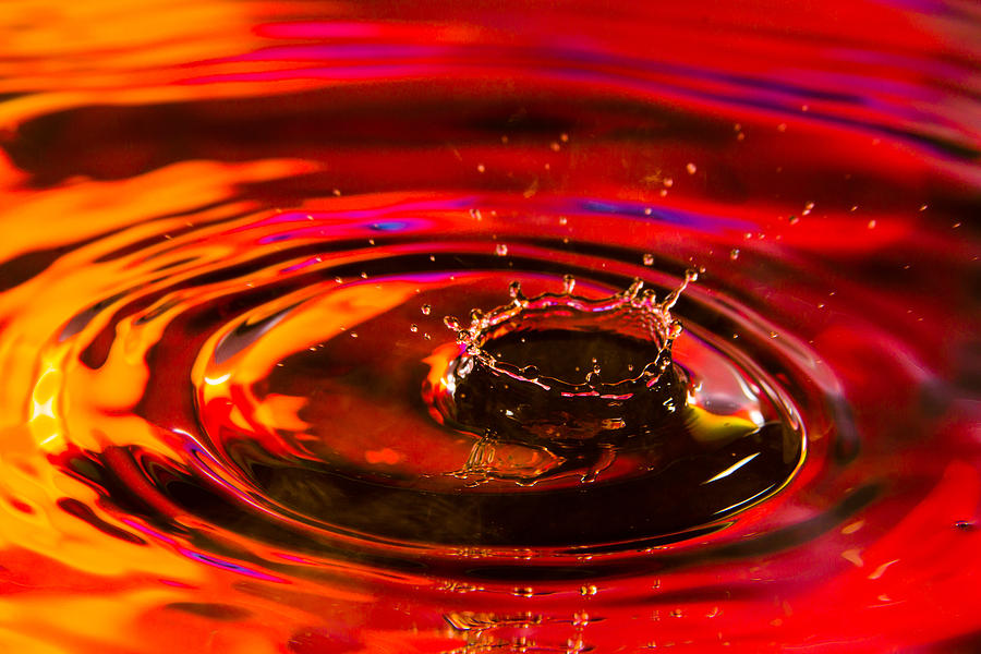 Ruby Crown Water Drop Photograph by SR Green