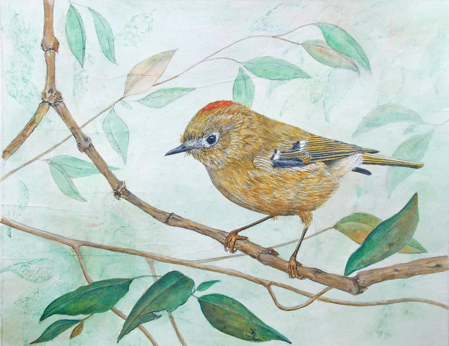 Bird Painting - Ruby-crowned Kinglet by Sandy Clift