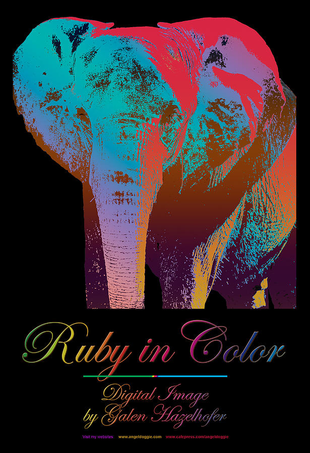Ruby in Color Digital Art by Galen Hazelhofer