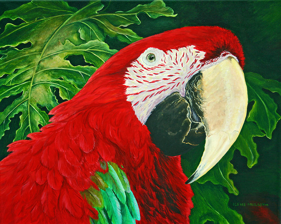 Bird Painting - Ruby Raiment by Ilene Paulsen