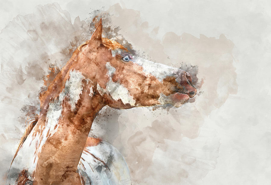 Ruby by Ryan Courson Ruby by Ryan Courson