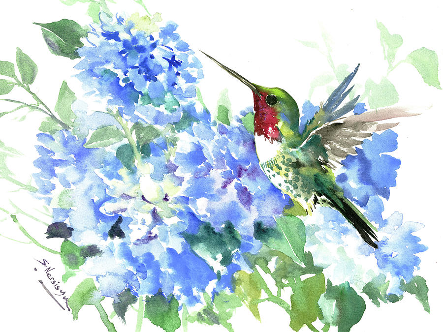 Hummingbird Painting - Ruby Throated Hummingbird and Hydrangea Flowers by Suren Nersisyan