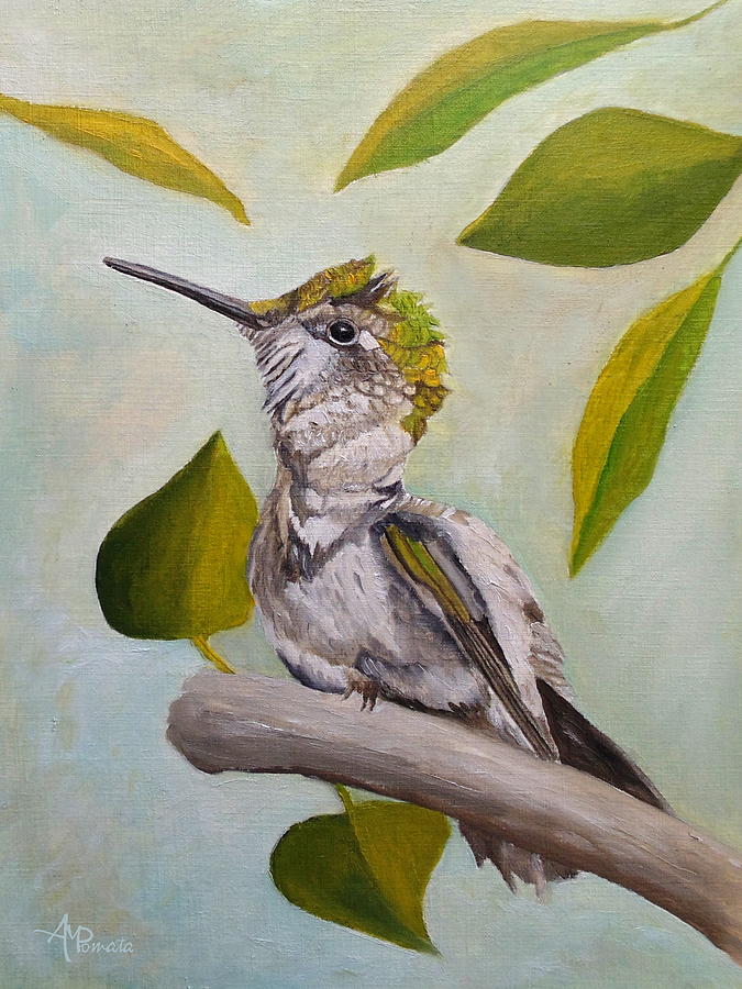 Hummingbird Painting - Ruby-throated Hummingbird by Angeles M Pomata