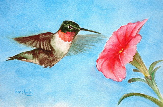 Ruby Throated Hummingbird Painting by Bev Chudey