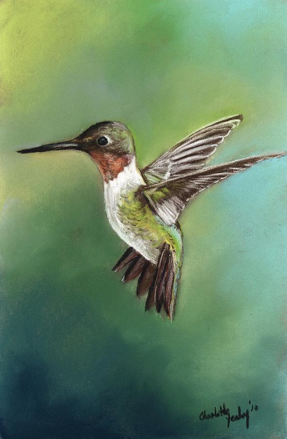 Ruby Throated Hummingbird Painting by Charlotte Yealey