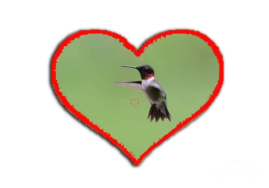 Ruby-throated Hummingbird in heart Photograph by Dan Friend