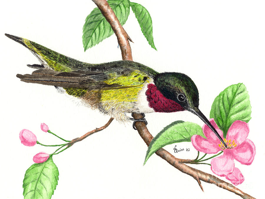 Ruby-throated Hummingbird Painting by Lynn Quinn