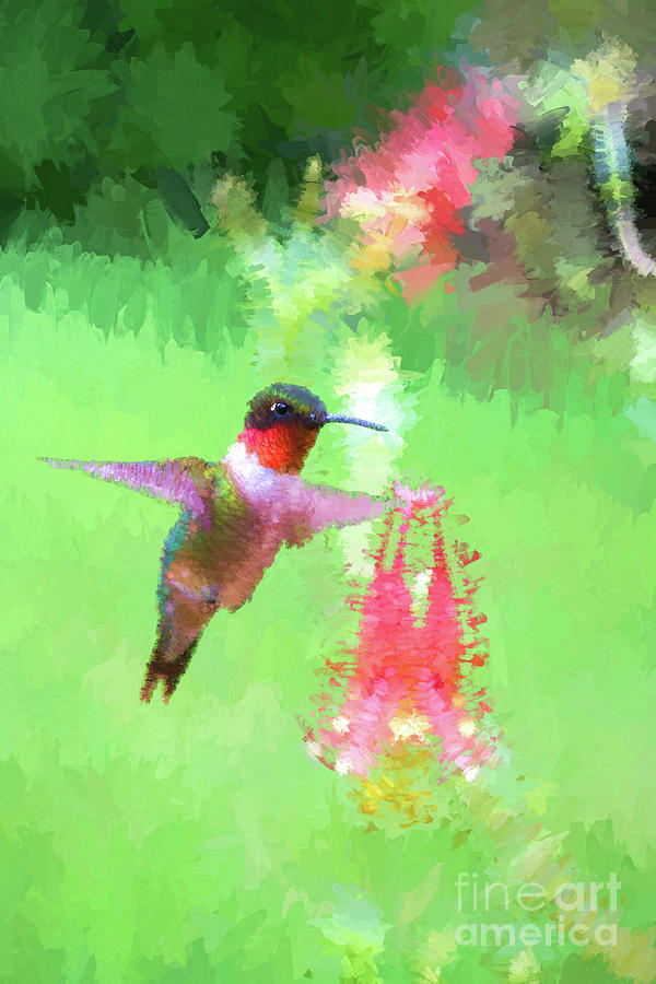 Ruby-throated Hummingbird  painter paintography Photograph by Dan Friend