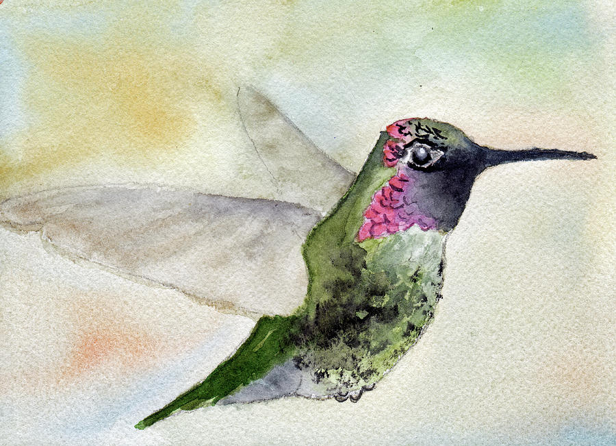 Ruby Throated Hummingbird Painting By Paul Temple - Fine Art America