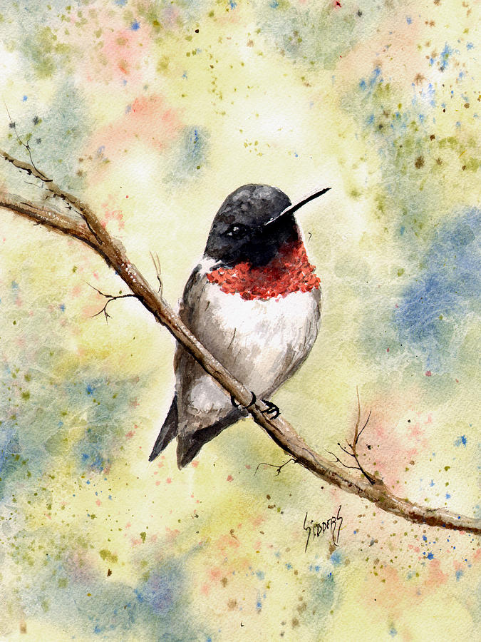 Ruby Throated Hummingbird Painting by Sam Sidders