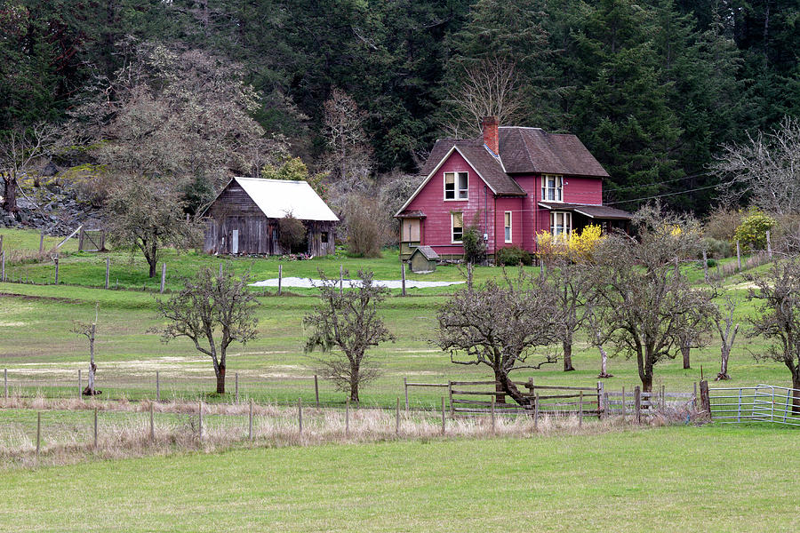 Ruckle Provincial Park Farmhouse Photograph by Michael Russell
