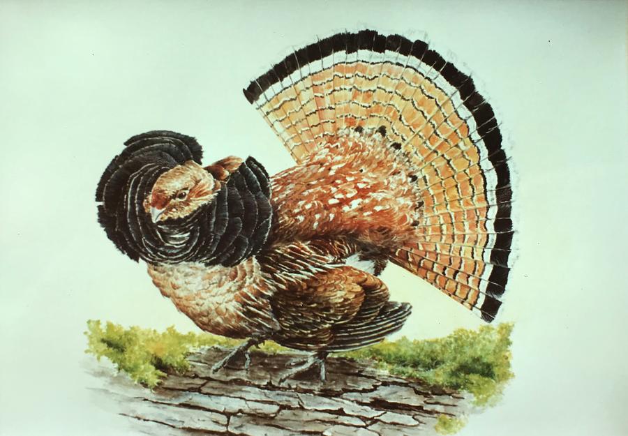 Ruffed Grouse Painting by ML McCormick