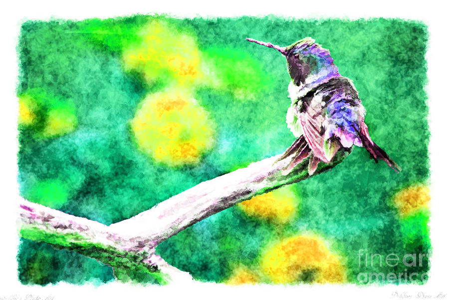 Ruffled Hummingbird - Digital Paint 5 Photograph by Debbie Portwood