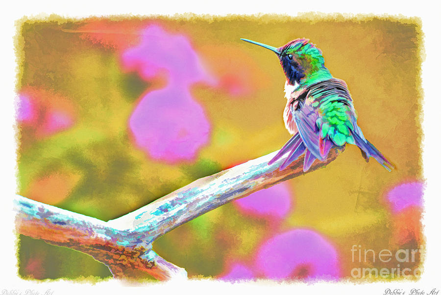 Nature Photograph - Ruffled Hummingbird - Digital Paint 2 by Debbie Portwood
