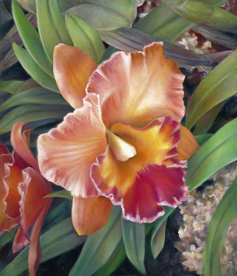 Ruffled Peach Cattleya Orchid Painting by Nancy Tilles