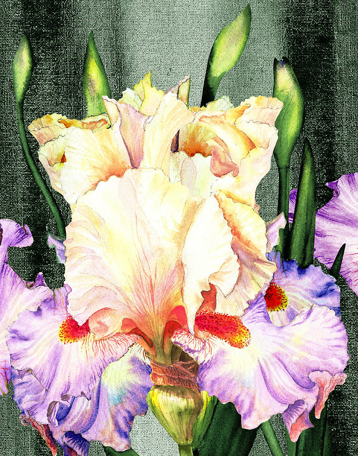 Ruffles Ruffles Iris Garden Painting by Irina Sztukowski
