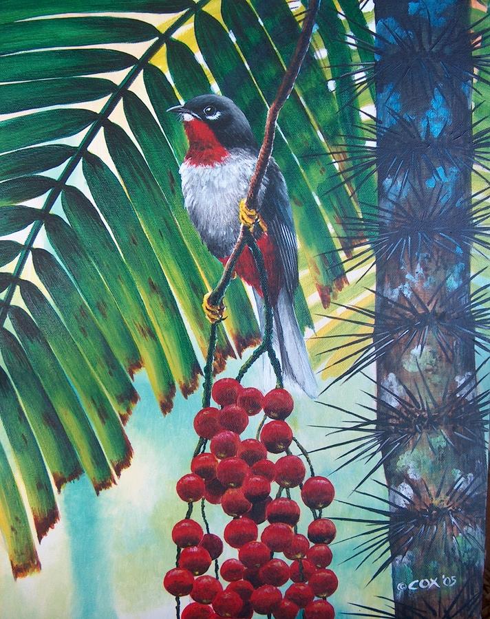 Rufous-throated Solitaire Painting by Christopher Cox