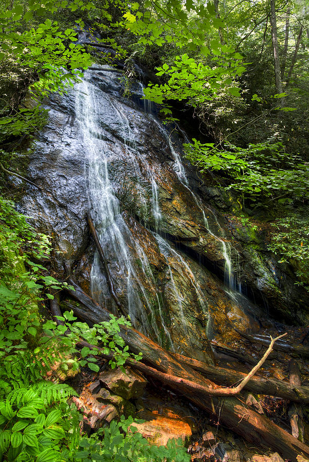 Rufus Morgan Falls Photograph by Debra and Dave Vanderlaan | Fine Art ...