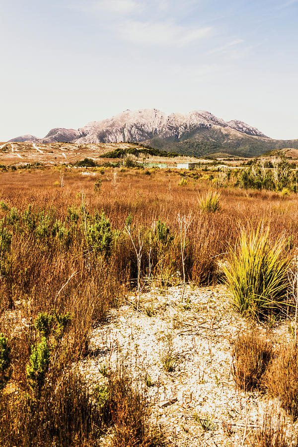 Rugged Australian bushland Photograph by Jorgo Photography