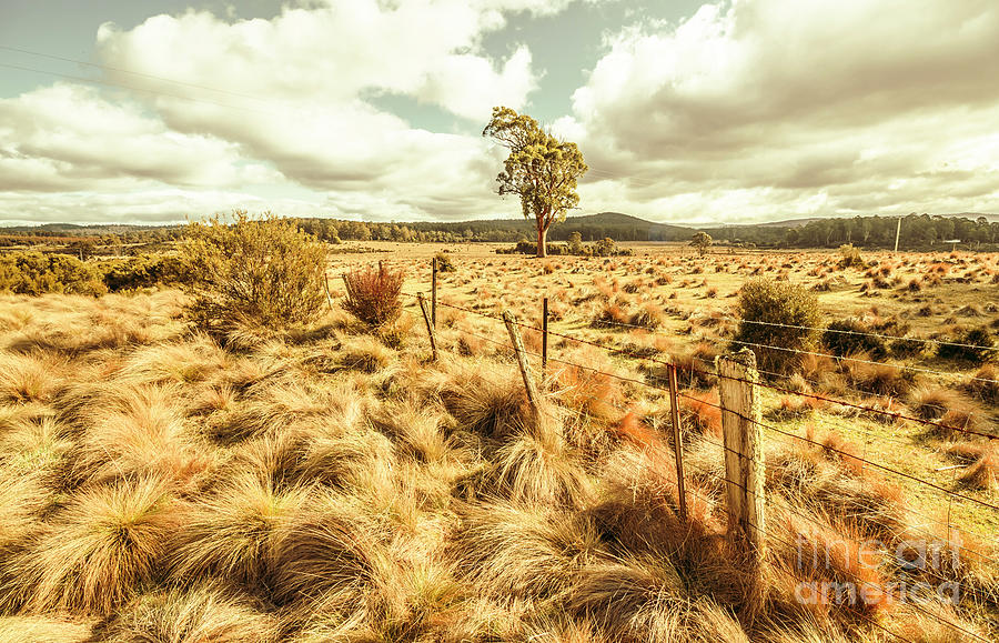 Rugged Australian pastures Photograph by Jorgo Photography