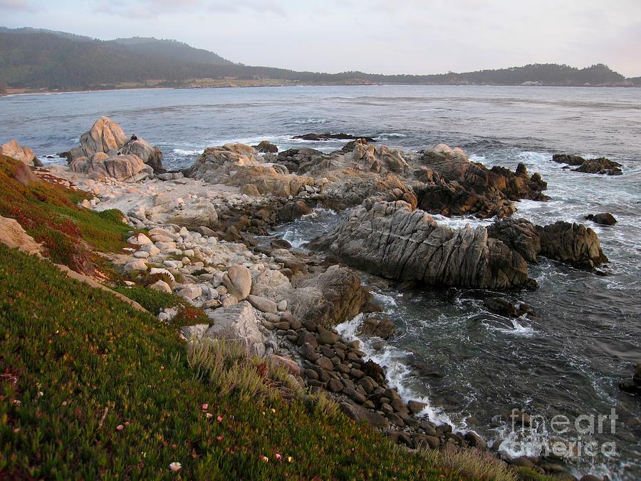 Rugged Carmel Point Photograph by James B Toy