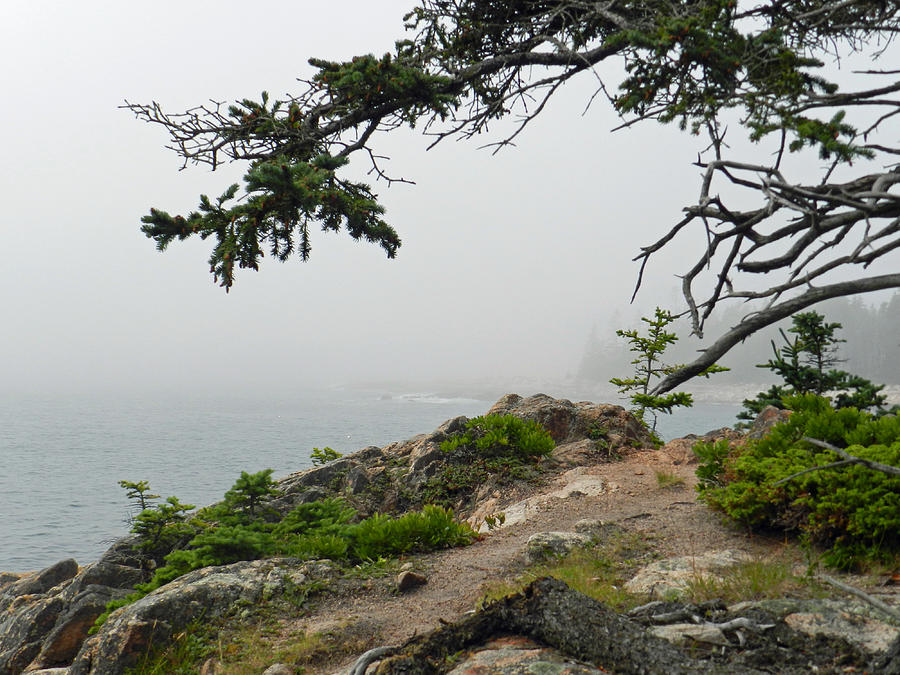 Rugged Maine Island Photograph by Deborah Ferree