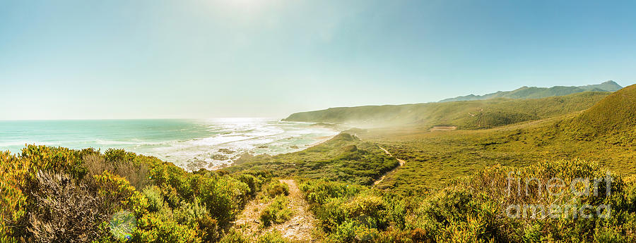 Rugged ocean trail Photograph by Jorgo Photography