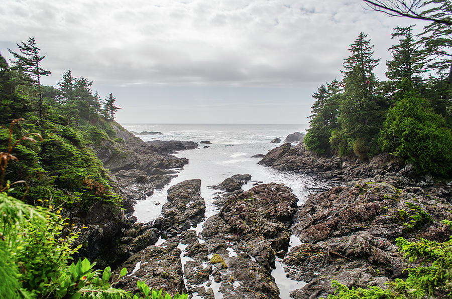 Rugged Pacific Photograph