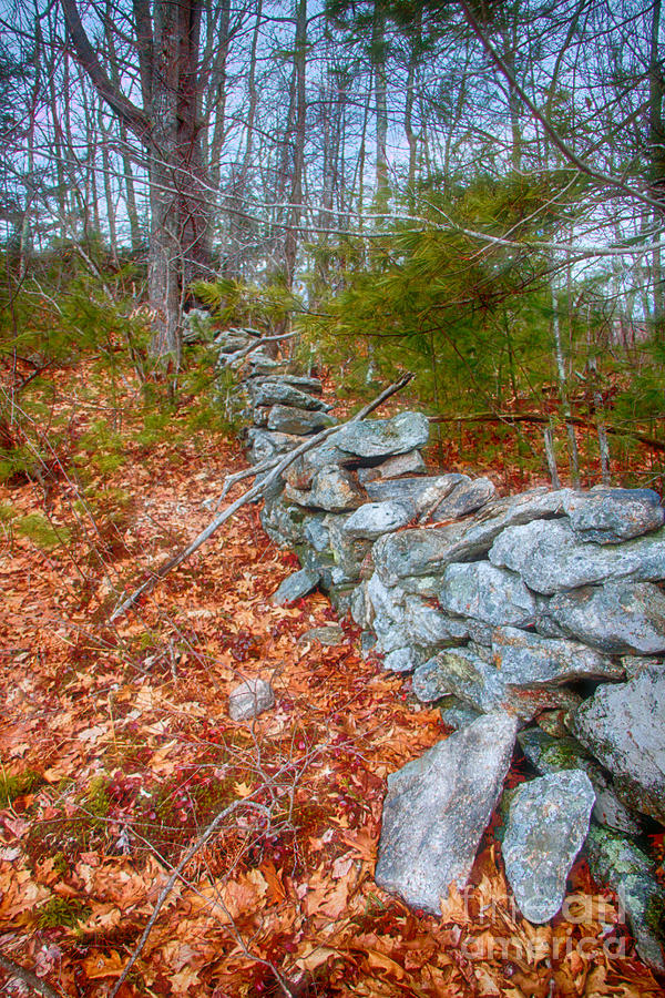 Rugged Rock Wall Photograph by Elizabeth Dow