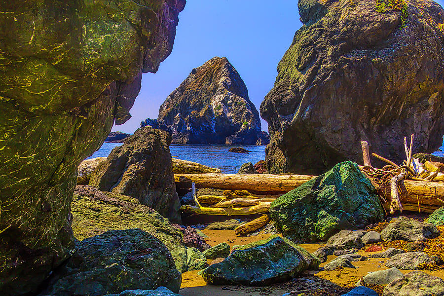Rugged Sonoma Coast Photograph by Garry Gay