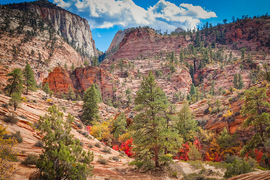 Rugged Zion Country Photograph