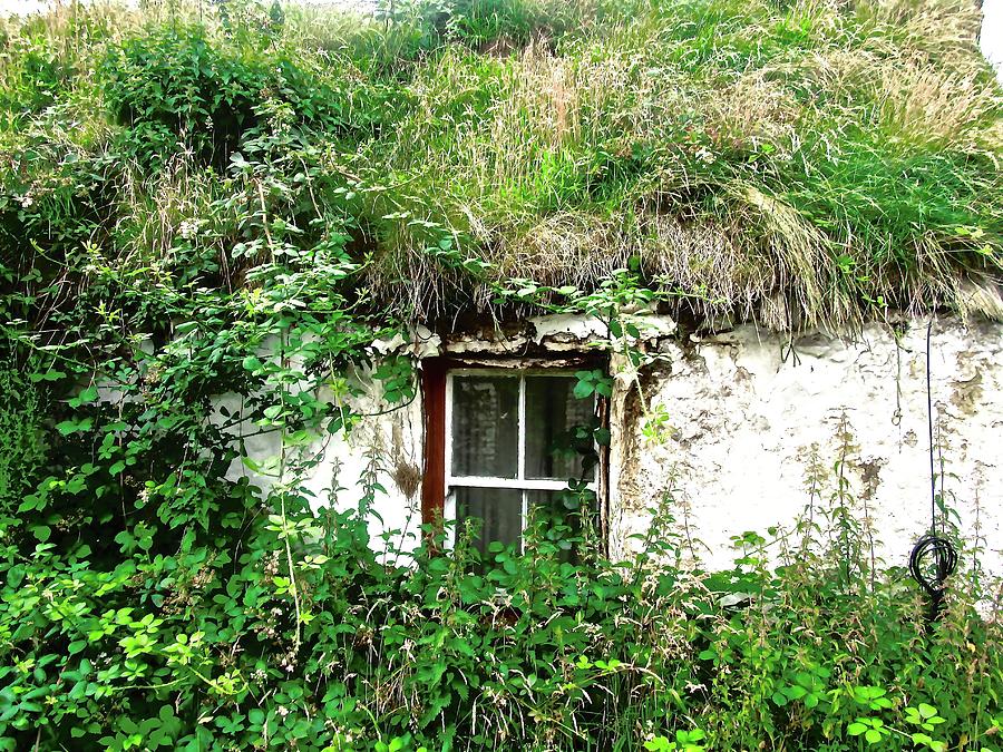 Ruined Cottage Photograph by Stephanie Moore