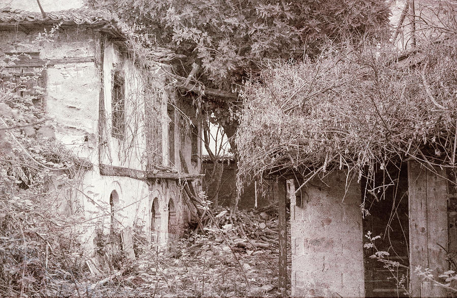 Ruined House Photograph by Roy Pedersen