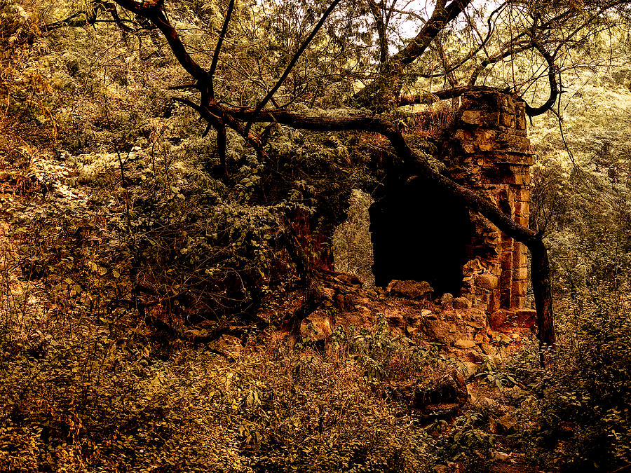 Ruined Temple Photograph by M G Whittingham