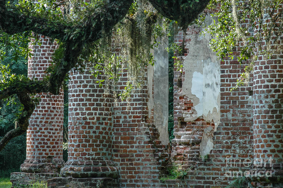 Ruins Amongst Majestic Oaks Photograph