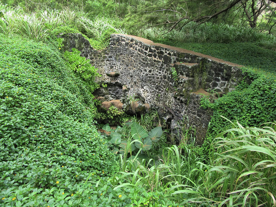 Ruins at Hamakua Sugar Cane Landing Photograph by Pamela Walton Pixels