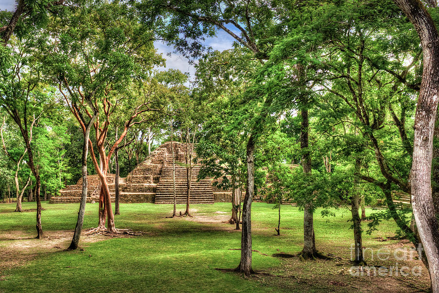 Mayan Plaza Ruins Cahal Pech Photograph
