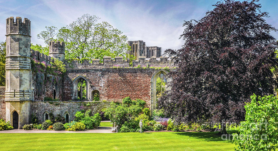 Bishops Palace Photograph - Ruins Of Bishops Palace Wells England by Lexa Harpell Bishops Palace Photograph - Ruins Of Bishops Palace Wells England by Lexa Harpell