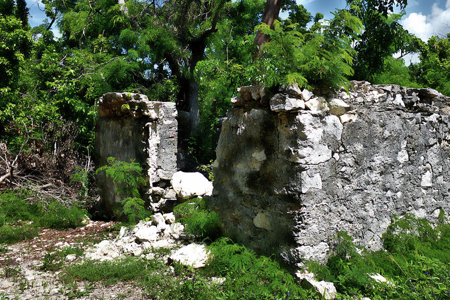 Ruins of Slave Quarters Photograph by Hugh Smith