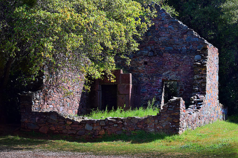 Ruins of the Cherokee Gold Assayers Office Photograph by Frank Wilson