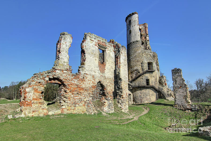 Ruins of Zviretice castle Photograph by Michal Boubin