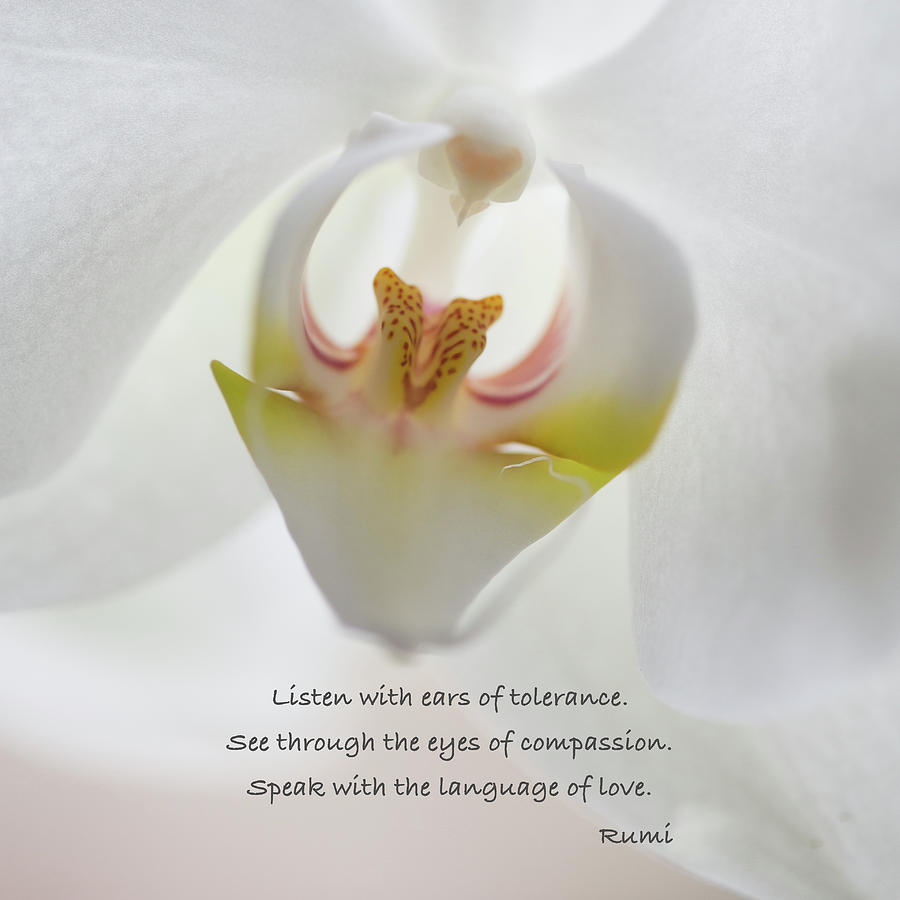 Rumi - Listen With Ears Photograph