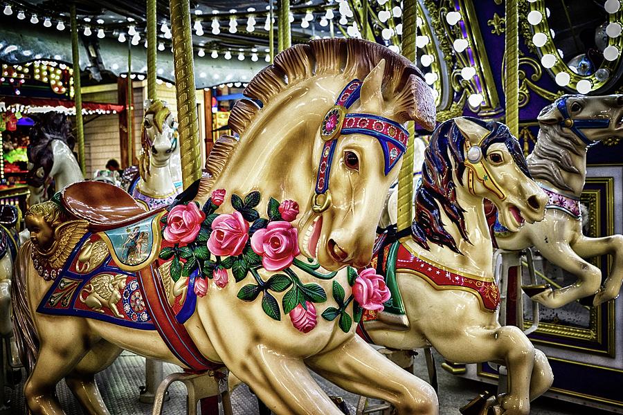 Horse Photograph - Run For The Roses by James DeFazio