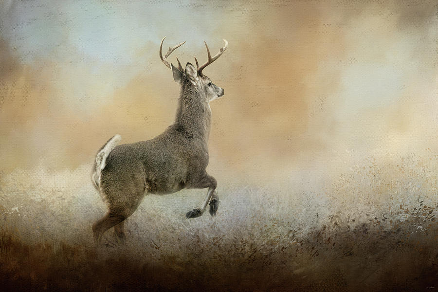 Run From Negativity Deer Art Photograph by Jai Johnson