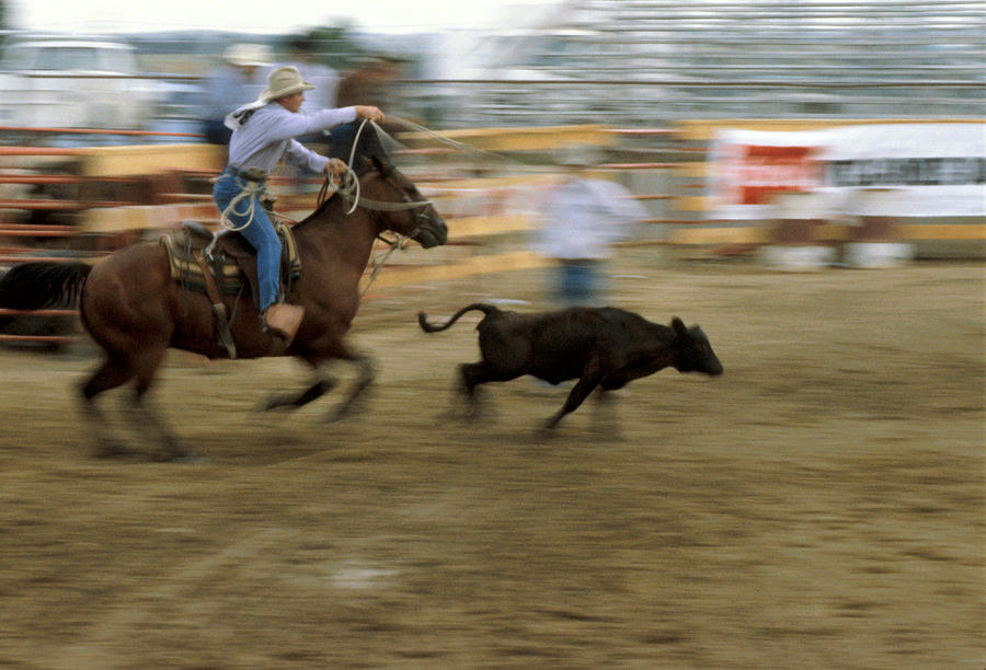 Horse Photograph - Run Little Doggie by Jerry McElroy