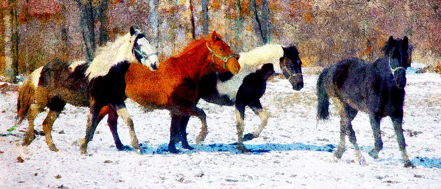 Horse Digital Art - Run Through Winter by Georgiana Romanovna