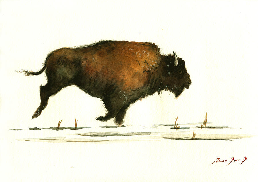 Bison Painting - Running buffalo by Juan  Bosco